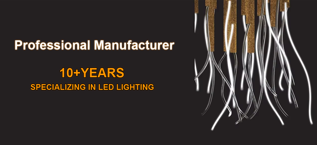Professional Manufacturer